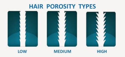 Image result for hair porosity diagram